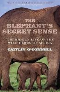 Enlarge image Cover: The Elephant's Secret Sense - Oneworld Publications