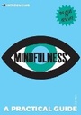 Cover: Introducing Mindfulness - Icon Books