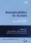 Cover: Sustainability in Action - Edward Elgar Publishing