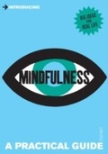 Cover: A Practical Guide to Mindfulness - Icon Books