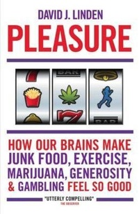 Enlarge image Cover: Pleasure - Oneworld Publications