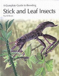 Abbildung von: A Complete Guide to Breeding Stick and Leaf Insects - Kingdom Books,Havant