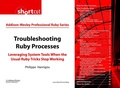 Cover: Troubleshooting Ruby Processes - Addison Wesley