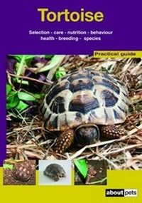 Abbildung von: The Tortoise - Kingdom Books,Havant
