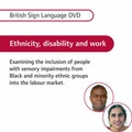 Cover: Ethnicity, Disability and Work: Executive Summary - Royal National Institute for the Blind