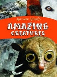 Enlarge image Cover: Amazing Creatures - QED Publishing