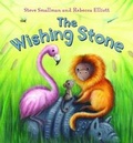 Cover: The Wishing Stone - QED Publishing