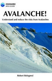 Abbildung von: Avalanche! - Cicerone Press