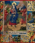 Cover: Western Illuminated Manuscripts - V & A Publishing