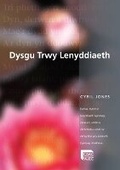 Cover: Dysgu trwy Lenyddiaeth - Uned Iaith Genedlaethol Cymru CBAC
