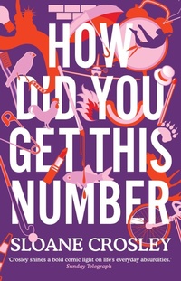 Enlarge image Cover: How Did You Get This Number - Granta Books