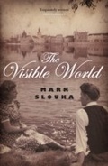 Cover: Visible World - GRANTA BOOKS