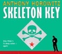 Cover: Alex Rider 3 Cd: Skeleton Key - Walker Books Ltd