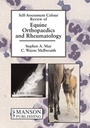 Cover: Equine Orthopaedics & Rheumatology - CRC Press