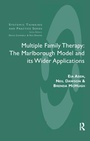 Cover: Multiple Family Therapy - Karnac Books