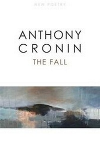 Enlarge image Cover: The Fall - New Island Books