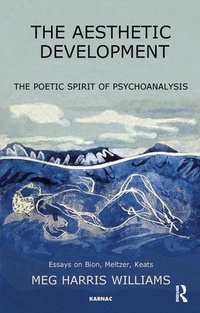 Enlarge image Cover: The Aesthetic Development - Karnac Books