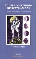 Cover: Studies in Extended Metapsychology - Karnac Books