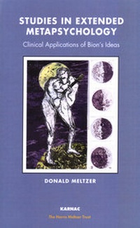 Enlarge image Cover: Studies in Extended Metapsychology - Karnac Books