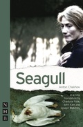 Cover: Seagull - Nick Hern Books
