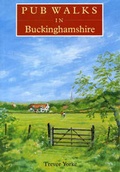 Cover: Pub Walks in Buckinghamshire - Countryside Books