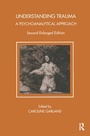 Cover: Understanding Trauma - Karnac Books