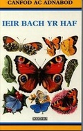 Cover: Cyfres Canfod ac Adnabod: Ieir Bach yr Haf - Gomer Press