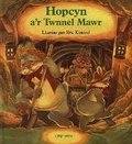 Cover: Cyfres Hopcyn: Hopcyn a'r Twnnel Mawr - Gwasg y Dref Wen