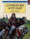 Cover: Storiau Hanes Cymru: Llywelyn ein Llyw Olaf - Gwasg y Dref Wen