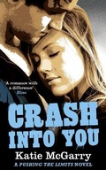 Cover: Crash into You - Mira Ink