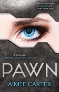 Cover: Pawn - Mira Ink