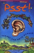 Cover: Cyfres Fflach Doniol: Psst! - Dref Wen