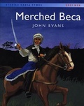 Cover: Storiau Hanes Cymru: Merched Beca - Dref Wen