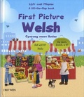 Cover: First Picture Welsh/Cymraeg Mewn Lluniau - Dref Wen