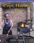 Cover: Sut Oedden Ni'n Arfer Gweithio: Copr, Haearn a Dur - Dref Wen