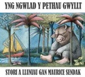 Cover: Yng Ngwlad y Pethau Gwyllt - Dref Wen