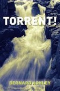 Cover: Torrent - Barrington Stoke Ltd