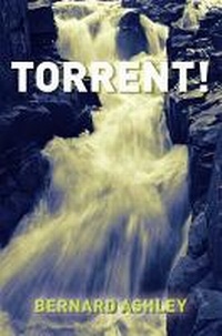 Enlarge image Cover: Torrent - Barrington Stoke Ltd