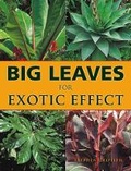 Cover: Big Leaves for Exotic Effect - Guild of Master Craftsman Publications Ltd