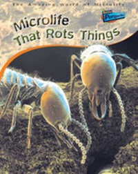 Enlarge image Cover: Perspectives: Amazing World of Microlife That Rots - Raintree Publishers