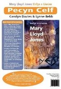 Cover: Pecyn Celf Mary Lloyd Jones - Enfys o Liwiau - Gomer Press