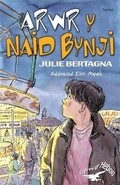 Cover: Cyfres yr Hebog: Arwr y Naid Bynji - Gomer Press