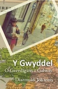 Cover: Gwyddel, Y - O Geredigion i Galway - Gomer Press