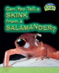 Cover: Can You Tell a Skink from a Salamander? - Raintree Publishers