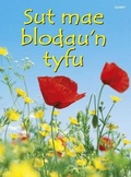Cover: Cyfres Dechrau Da: Sut Mae Blodau'n Tyfu? - Gomer Press