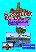 Cover: Cyfres a Wyddoch Chi: A Wyddoch Chi am Enwau Lleoedd Cymru? - Gomer Press