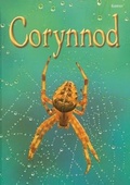 Cover: Cyfres Dechrau Da: Corynnod - Gomer Press