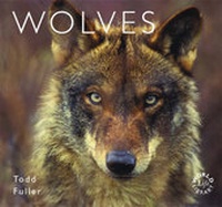 Enlarge image Cover: Wolves - Colin Baxter Photography Ltd