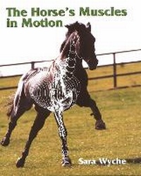 Abbildung von: The Horse's Muscles in Motion - The Crowood Press Ltd
