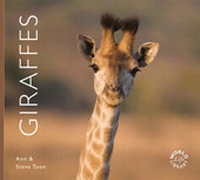 Enlarge image Cover: Giraffes - Colin Baxter Photography Ltd